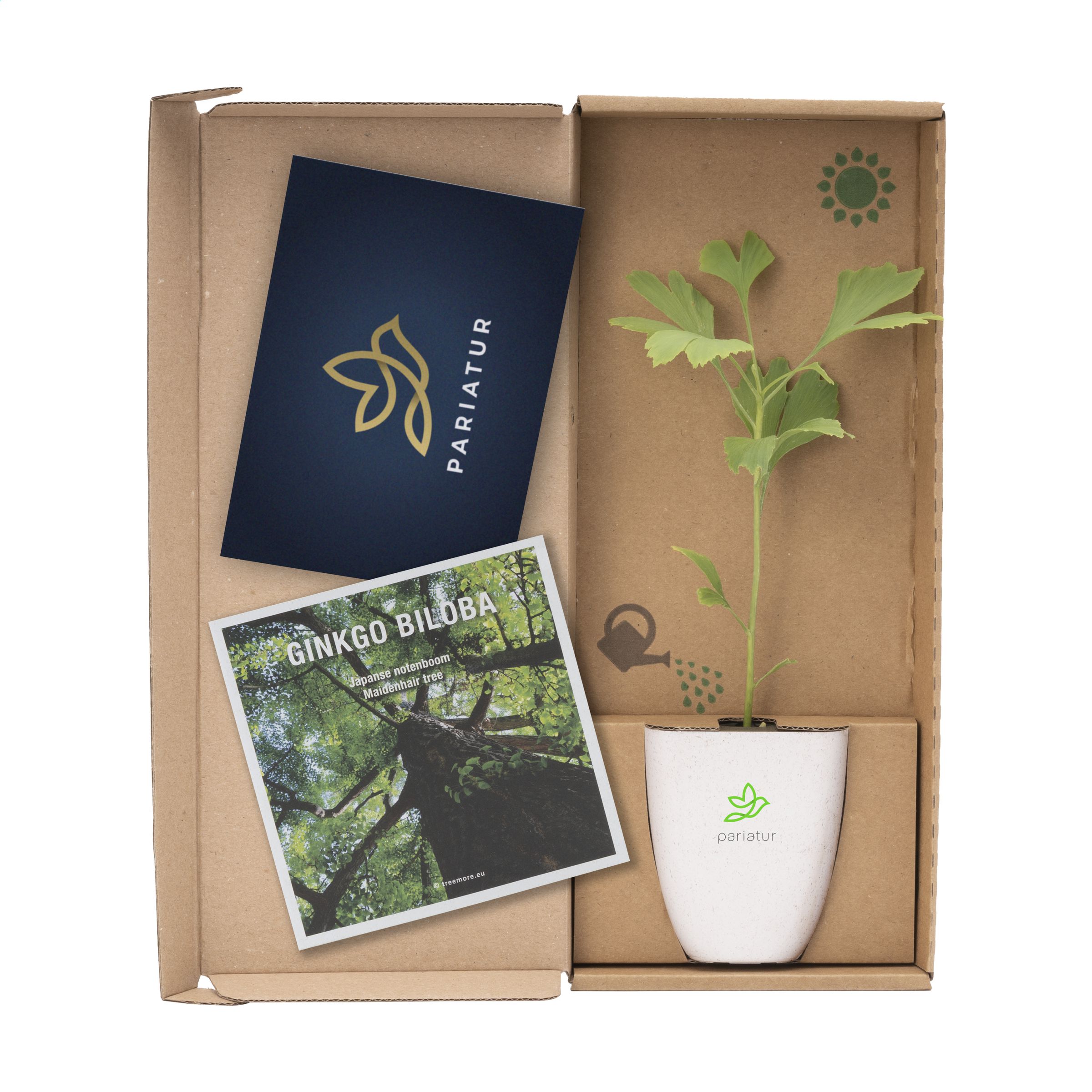 Geschenkset - Briefkastenbaum – Bild 16